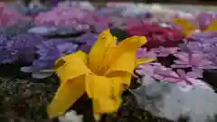 春日神社の手水