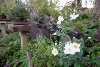 常泉寺(神奈川県)