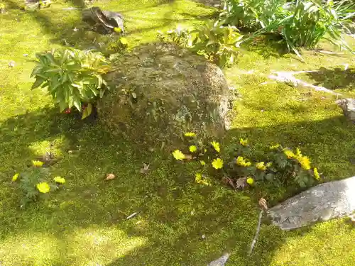 海蔵寺の庭園