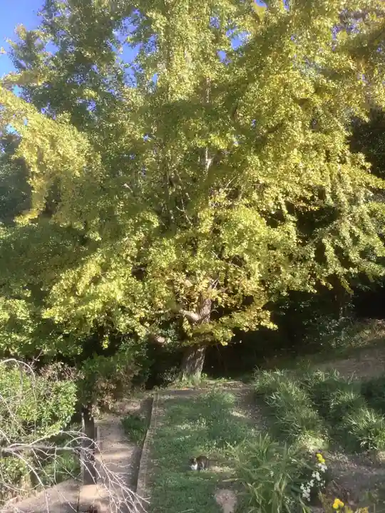 天龍山 誓海寺(愛知県)