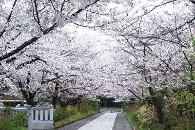 高麗神社の{uncategorized: "未分類", other: "その他", undefined: "問題あり", building: "その他建物", grave: "お墓", sacred_gate: "鳥居", guardian: "狛犬", statue: "像", buddha: "仏像", history: "歴史", nature: "自然", garden: "庭園", animal: "動物", pagoda: "塔", temizu: "手水舎", mountain_gate: "山門・神門", sanctuary: "本殿・本堂", subordinate: "末社・摂社", art: "芸術", scenery: "景色", jizo: "地蔵", ema: "絵馬", goshuin: "御朱印", omikuji: "おみくじ", items: "授与品その他", amulet: "お守り", goshuincho: "御朱印帳", eats: "食事", festival: "お祭り", votive_dance: "神楽", shichigosan: "七五三参", wedding: "結婚式", experience: "体験その他", initially: "初詣", around: "周辺", anti_infection: "感染症対策"}