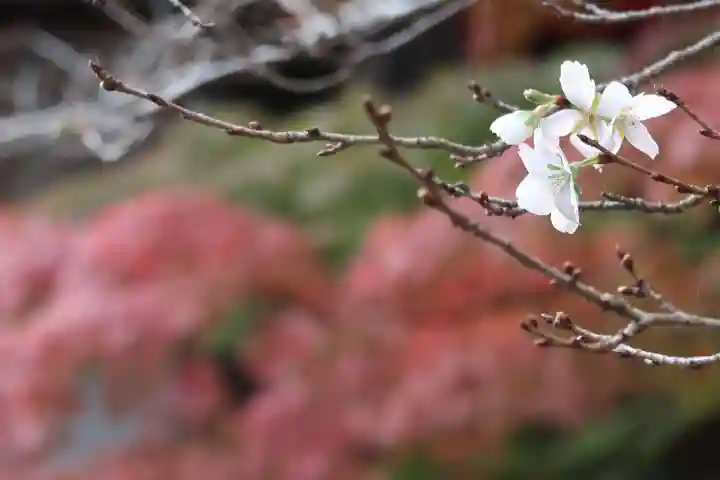 赤山禅院(京都府)