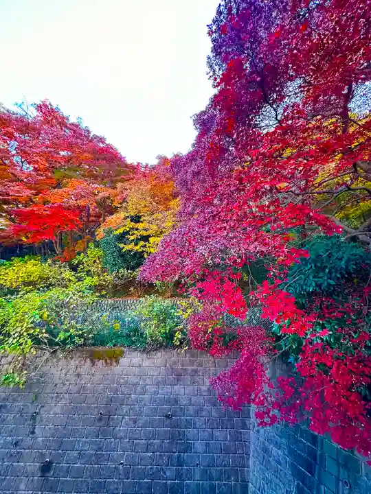 高幡不動尊 金剛寺(東京都)