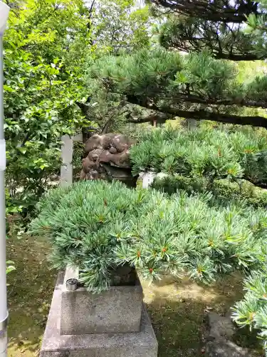 妙行寺(愛知県)