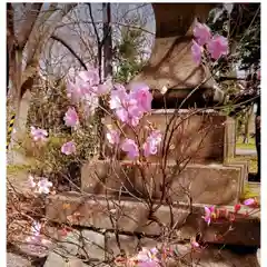 彌彦神社　(伊夜日子神社)の自然