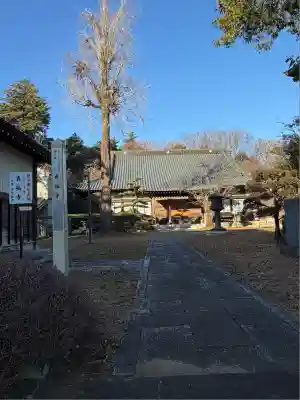 真福寺(東京都)