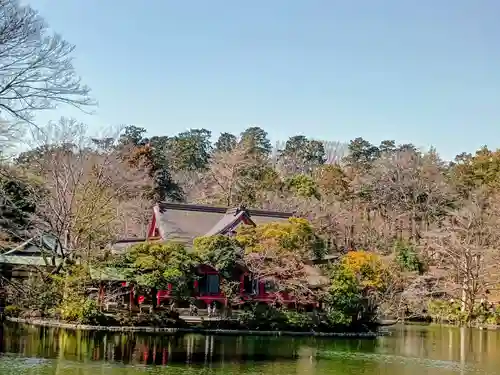 井の頭弁財天（大盛寺）(東京都)