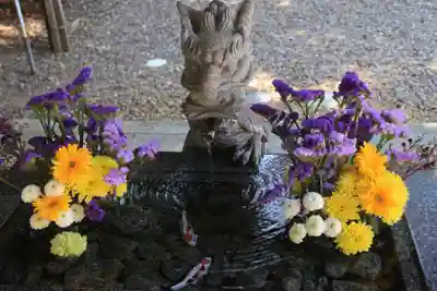 滑川神社 - 仕事と子どもの守り神の手水舎