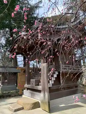 白岡八幡神社(埼玉県)