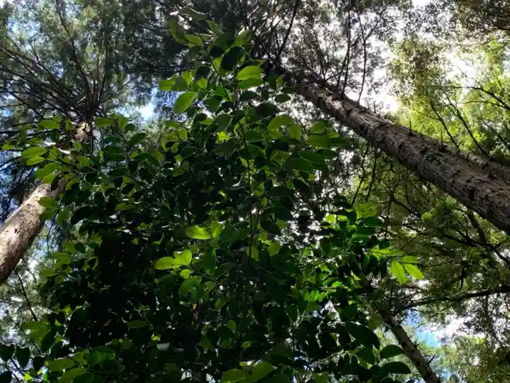 眞中神社(岐阜県)