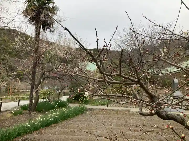 龍寳寺(龍宝寺)(神奈川県)