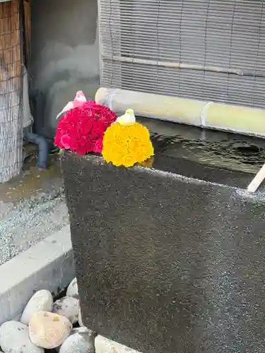 上尾御嶽神社の手水舎