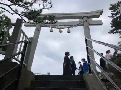 海津見神社（桂浜龍王宮）の鳥居