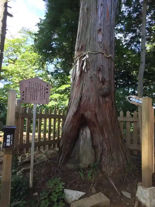 武蔵御嶽神社のその他建物