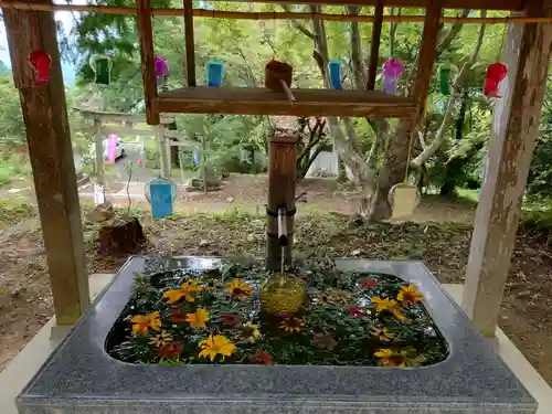 坂本八幡神社の手水