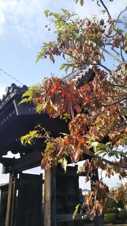 安樂寺(埼玉県)