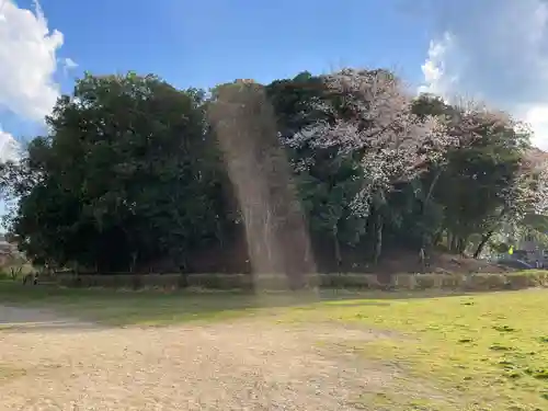 正恩寺(京都府)