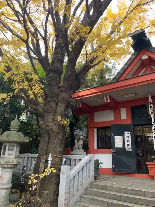 笠䅣稲荷神社の本殿・本堂