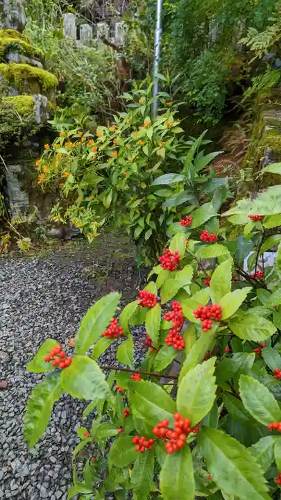 大豊神社(京都府)