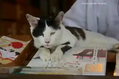 賀茂別雷神社(栃木県)