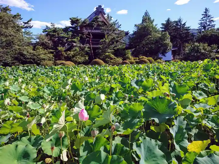 信濃國分寺の景色