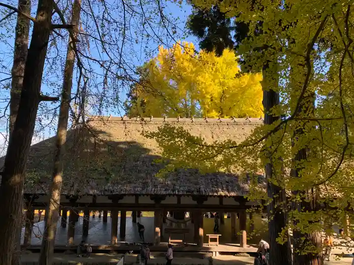 新宮熊野神社(福島県)