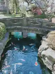 浅草寺の庭園