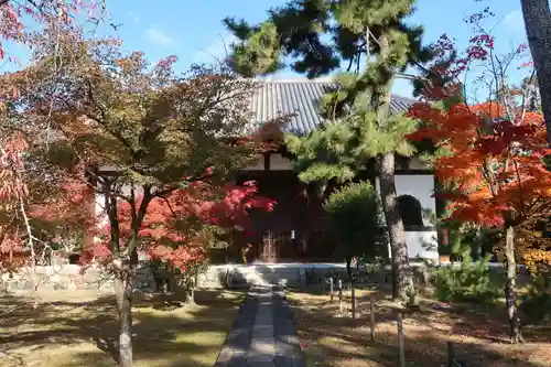 廣隆寺(京都府)