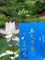 普門寺(切り絵御朱印発祥の寺)の御朱印