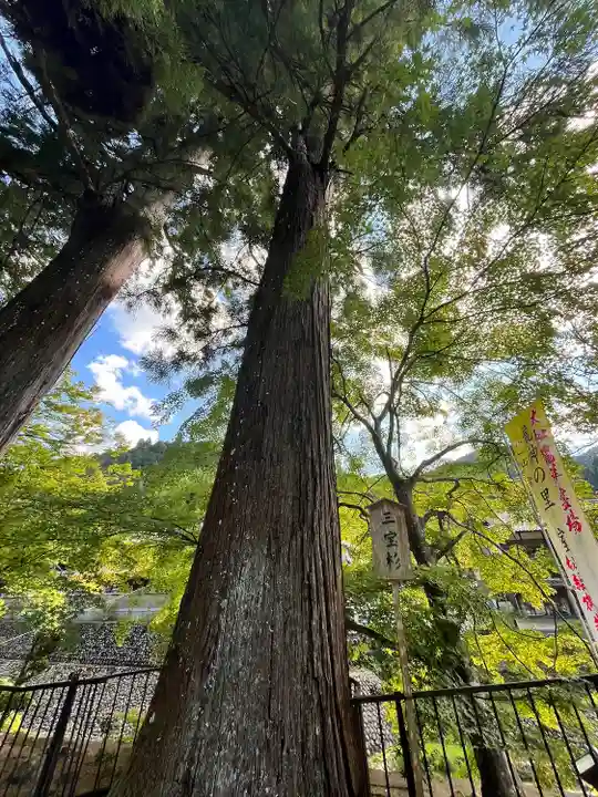 室生寺(奈良県)