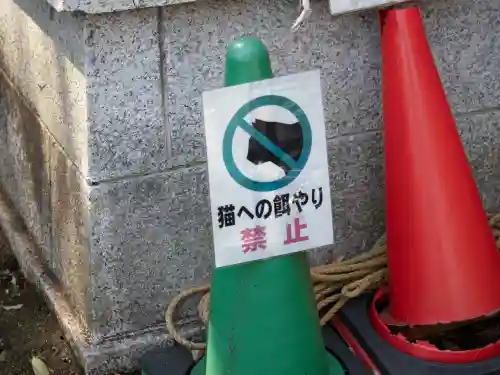 大宮八幡宮の{uncategorized: "未分類", other: "その他", undefined: "問題あり", building: "その他建物", grave: "お墓", sacred_gate: "鳥居", guardian: "狛犬", statue: "像", buddha: "仏像", history: "歴史", nature: "自然", garden: "庭園", animal: "動物", pagoda: "塔", temizu: "手水舎", mountain_gate: "山門・神門", sanctuary: "本殿・本堂", subordinate: "末社・摂社", art: "芸術", scenery: "景色", jizo: "地蔵", ema: "絵馬", goshuin: "御朱印", omikuji: "おみくじ", items: "授与品その他", amulet: "お守り", goshuincho: "御朱印帳", eats: "食事", festival: "お祭り", votive_dance: "神楽", shichigosan: "七五三参", wedding: "結婚式", experience: "体験その他", initially: "初詣", around: "周辺", anti_infection: "感染症対策"}