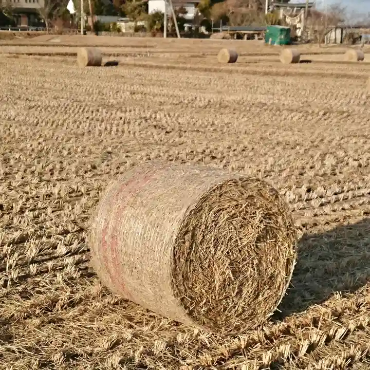大國魂神社の体験その他