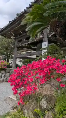 時宗総本山 遊行寺（正式：清浄光寺）の{uncategorized: "未分類", other: "その他", undefined: "問題あり", building: "その他建物", grave: "お墓", sacred_gate: "鳥居", guardian: "狛犬", statue: "像", buddha: "仏像", history: "歴史", nature: "自然", garden: "庭園", animal: "動物", pagoda: "塔", temizu: "手水舎", mountain_gate: "山門・神門", sanctuary: "本殿・本堂", subordinate: "末社・摂社", art: "芸術", scenery: "景色", jizo: "地蔵", ema: "絵馬", goshuin: "御朱印", omikuji: "おみくじ", items: "授与品その他", amulet: "お守り", goshuincho: "御朱印帳", eats: "食事", festival: "お祭り", votive_dance: "神楽", shichigosan: "七五三参", wedding: "結婚式", experience: "体験その他", initially: "初詣", around: "周辺", anti_infection: "感染症対策"}