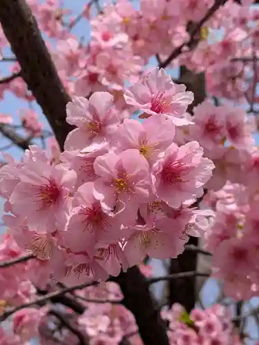鳩森八幡神社(東京都)