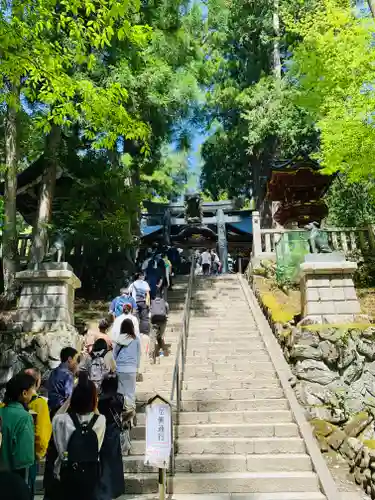 三峯神社(埼玉県)