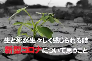 信行寺(福岡県)(2020年04月01日(水) 17時05分47秒投稿)