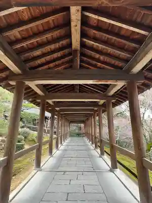 東福禅寺(東福寺)(京都府)