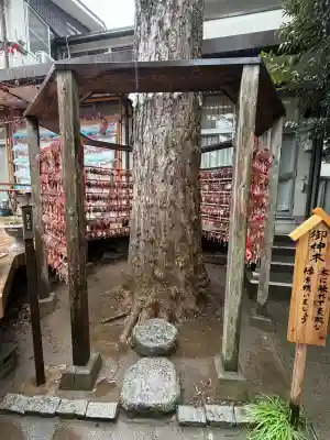 越谷香取神社の{uncategorized: "未分類", other: "その他", undefined: "問題あり", building: "その他建物", grave: "お墓", sacred_gate: "鳥居", guardian: "狛犬", statue: "像", buddha: "仏像", history: "歴史", nature: "自然", garden: "庭園", animal: "動物", pagoda: "塔", temizu: "手水舎", mountain_gate: "山門・神門", sanctuary: "本殿・本堂", subordinate: "末社・摂社", art: "芸術", scenery: "景色", jizo: "地蔵", ema: "絵馬", goshuin: "御朱印", omikuji: "おみくじ", items: "授与品その他", amulet: "お守り", goshuincho: "御朱印帳", eats: "食事", festival: "お祭り", votive_dance: "神楽", shichigosan: "七五三参", wedding: "結婚式", experience: "体験その他", initially: "初詣", around: "周辺", anti_infection: "感染症対策"}