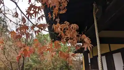 勝林寺(京都府)