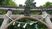 渋川八幡宮の鳥居