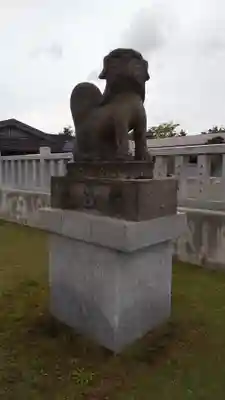 美瑛神社の狛犬