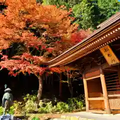 普門寺(切り絵御朱印発祥の寺)(愛知県)