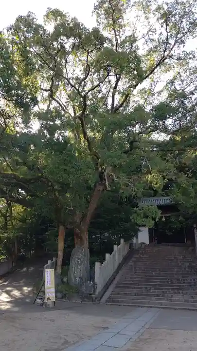 東雲神社の自然