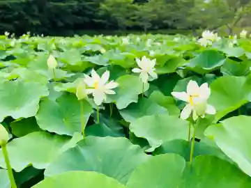 心光寺(三重県)