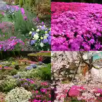 寿量山 速成寺の庭園