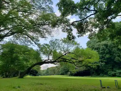 明治神宮の自然