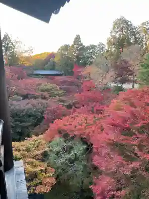 東福禅寺(東福寺)(京都府)