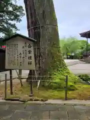 清水寺の自然