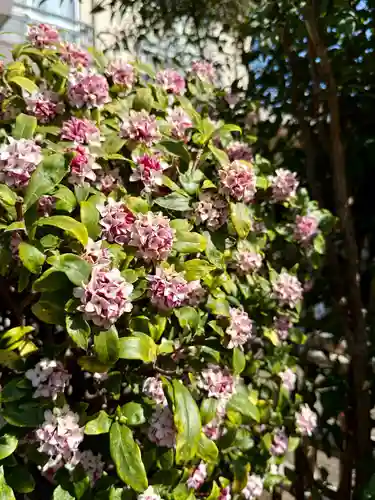 福王山  慈眼寺(東京都)