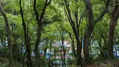 天開稲荷社の景色